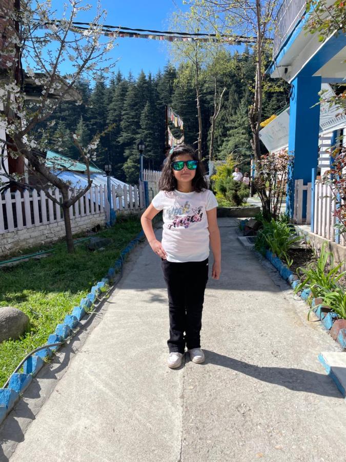 Ats -Manali Hostel Eksteriør bilde